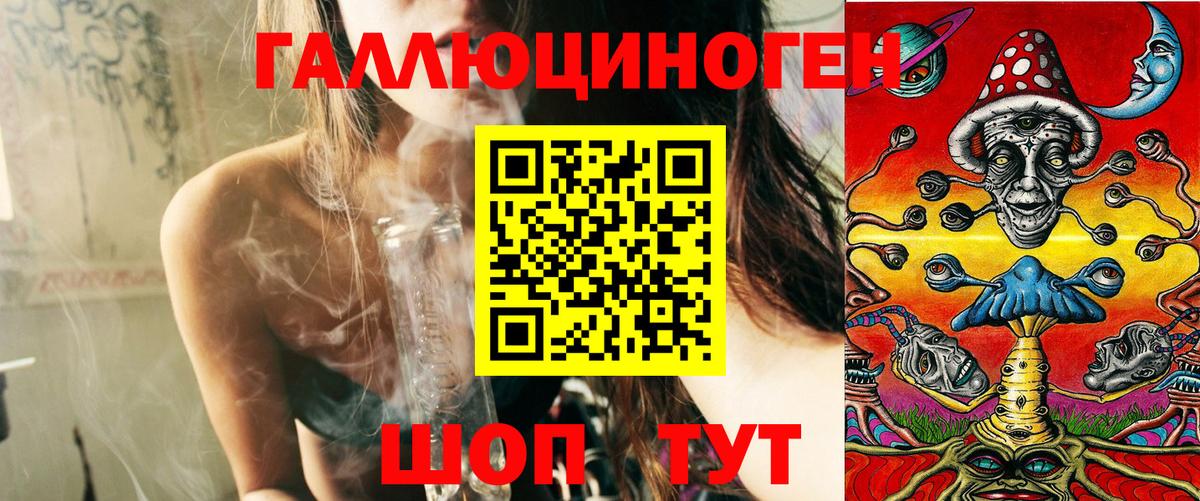 Гудермес  Галлюциногенные грибы Cubensis  Вход с VPN  Псилоцибиновые грибы Cubensis 